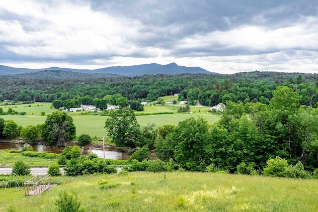 property view of mountains featuring a water view