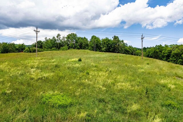 view of local wilderness