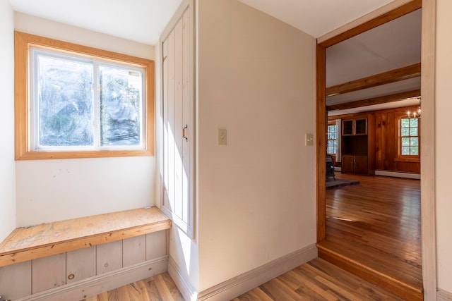 hallway with hardwood / wood-style floors, a healthy amount of sunlight, baseboard heating, and an inviting chandelier