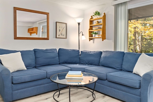 living room with a textured ceiling and light hardwood / wood-style floors