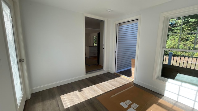 interior space with dark hardwood / wood-style flooring