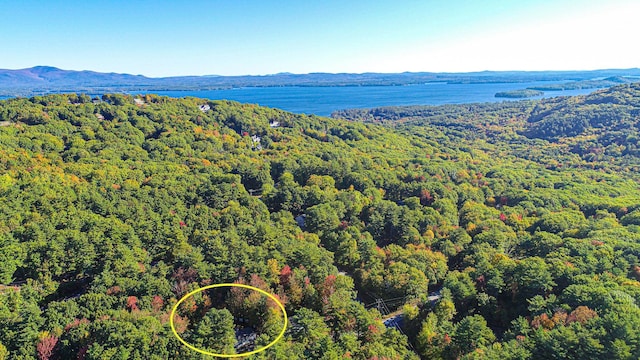 birds eye view of property with a water and mountain view