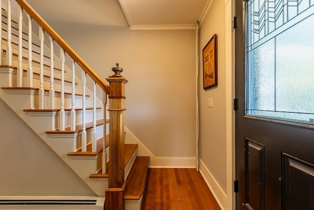 interior space featuring ornamental molding and dark hardwood / wood-style flooring