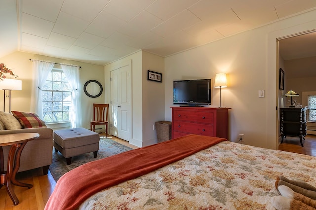 bedroom featuring a closet, lofted ceiling, and hardwood / wood-style floors