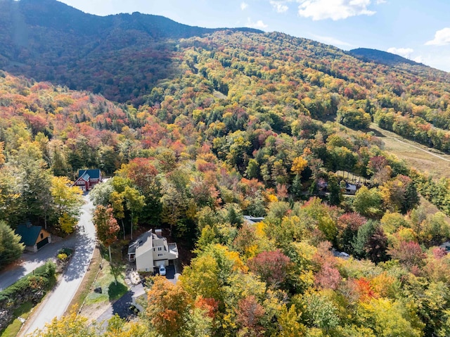 bird's eye view with a mountain view