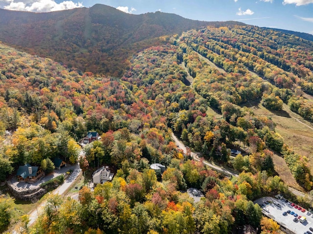 drone / aerial view featuring a mountain view