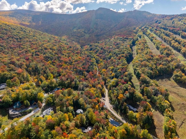 property view of mountains