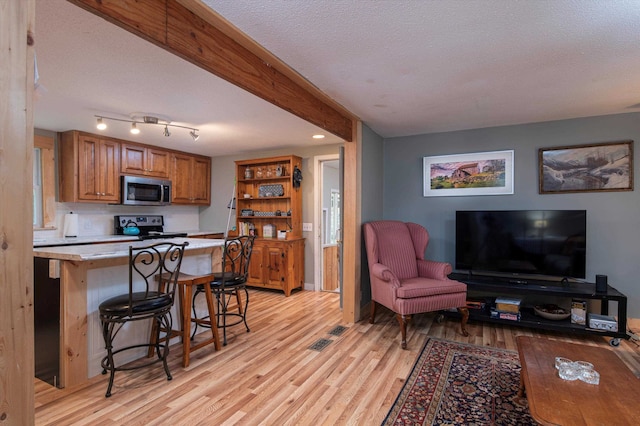 living room featuring light hardwood / wood-style flooring and a textured ceiling