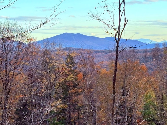 1180 Abbott Hill Rd, Newark VT, 05871 land for sale