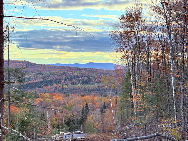 Listing photo 3 for 1180 Abbott Hill Rd, Newark VT 05871