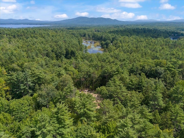 61 Ossipee Mountain Rd, Ossipee NH, 03814 land for sale