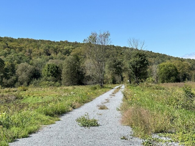 0 Kate Brook Rd, Hardwick, VT 05843