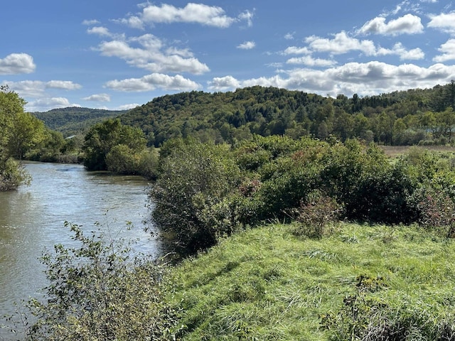 0 Kate Brook Rd, Hardwick, VT 05843