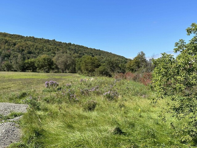0 Kate Brook Rd, Hardwick, VT 05843
