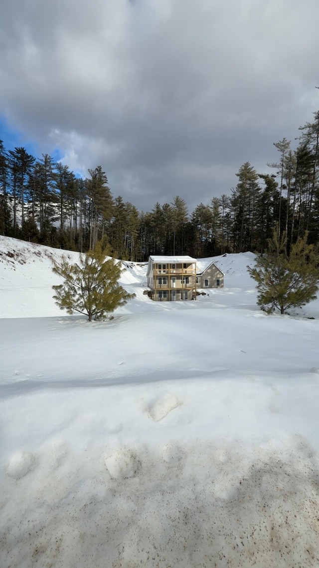 view of yard covered in snow