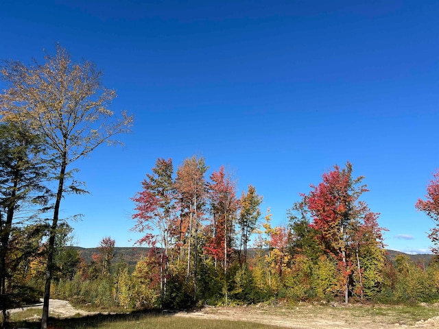 Patterson Hill Rd, Henniker NH, 03242 land for sale