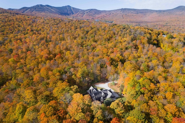 drone / aerial view featuring a mountain view