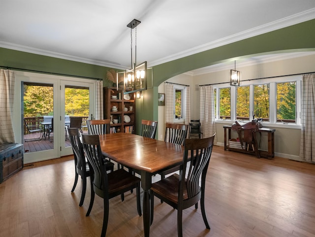 dining space featuring hardwood / wood-style floors, crown molding, and a healthy amount of sunlight