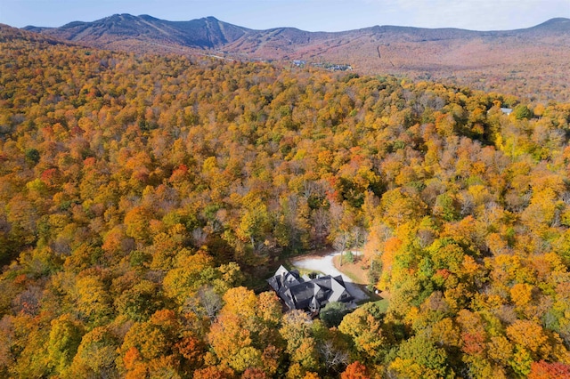 aerial view with a mountain view