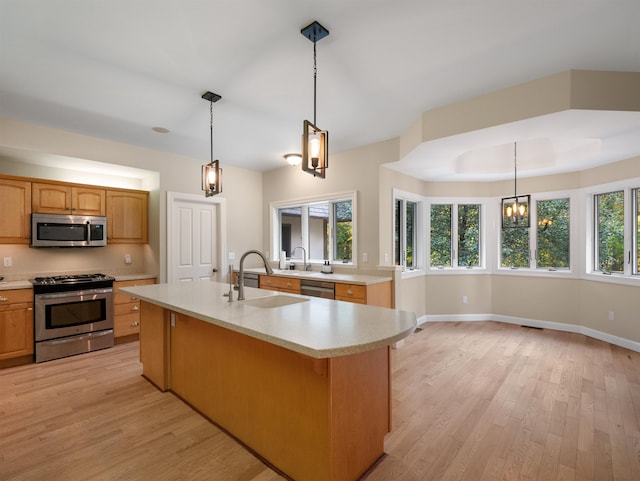 kitchen featuring light wood-type flooring, stainless steel appliances, a wealth of natural light, and an island with sink