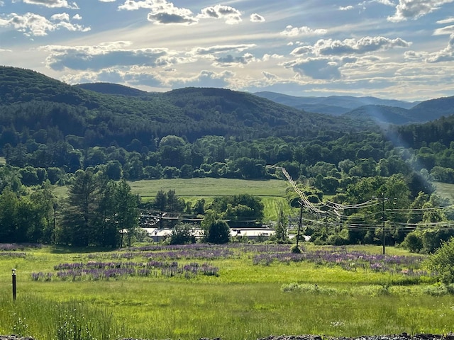 mountain view featuring a rural view