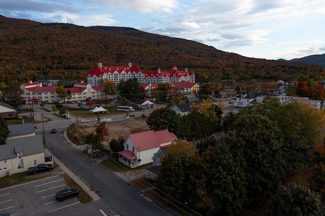 drone / aerial view with a mountain view