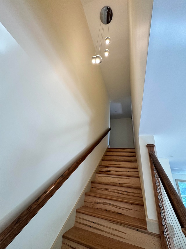 stairway with wood-type flooring