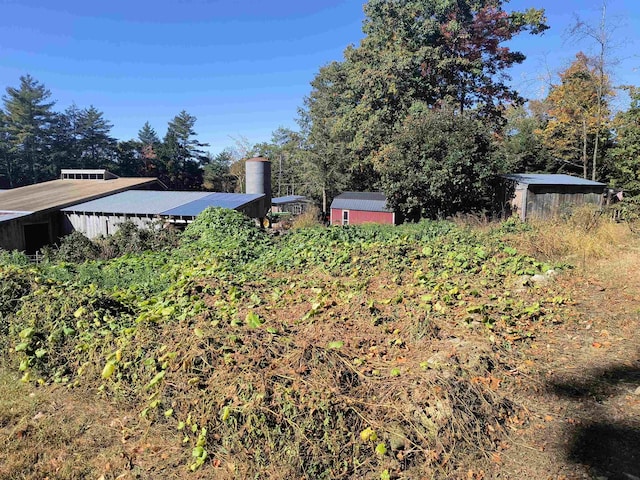 view of yard with a shed