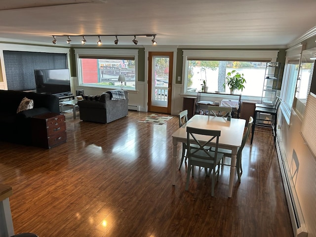 dining area featuring ornamental molding, dark hardwood / wood-style flooring, rail lighting, and a baseboard heating unit