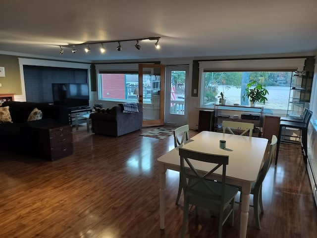 dining area featuring dark hardwood / wood-style flooring and rail lighting