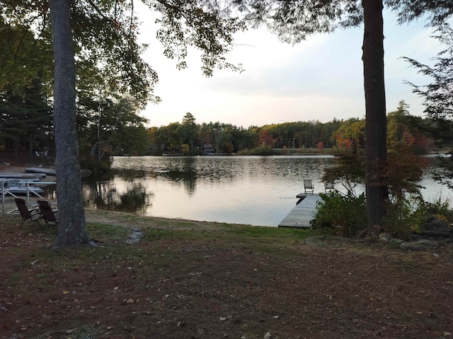 view of water feature featuring a dock