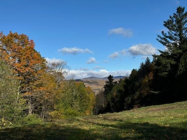 0 Mountain Hill Rd, Craftsbury VT, 05826 land for sale