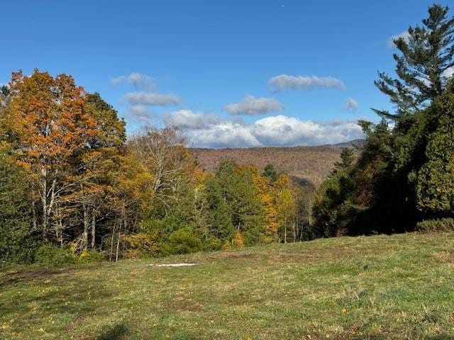 Listing photo 3 for 0 Mountain Hill Rd, Craftsbury VT 05826