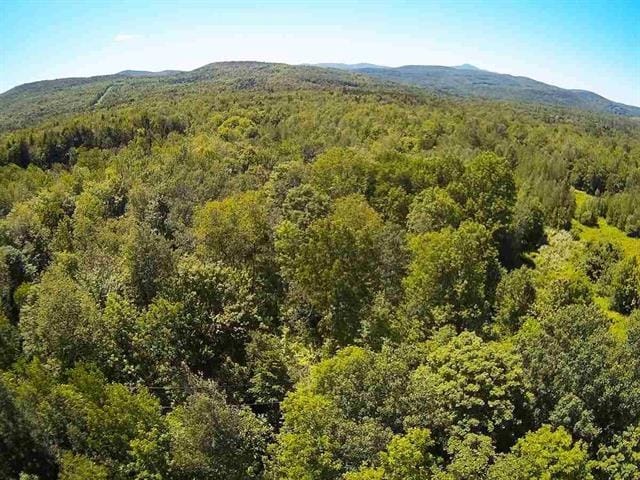 4201 Steven Mills Slide Rd, Richford VT, 05476 land for sale