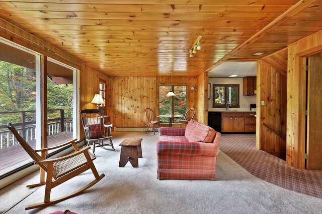 carpeted living room with sink, wood walls, wooden ceiling, and a baseboard heating unit