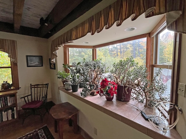 sunroom / solarium featuring a wealth of natural light