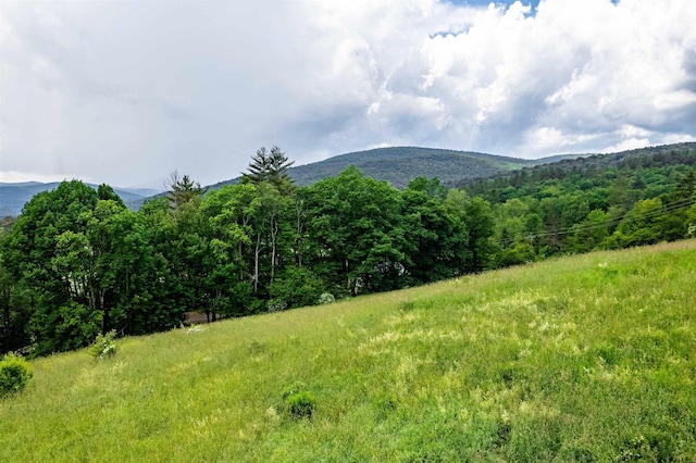 mountain view featuring a view of trees