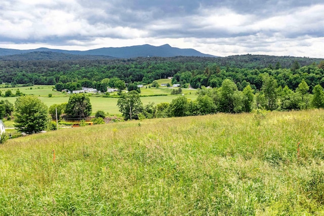 property view of mountains with a view of trees and a rural view