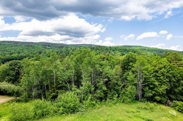 view of nature featuring a view of trees