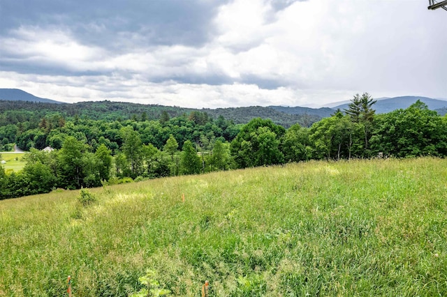 property view of mountains with a forest view