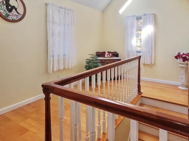 staircase featuring wood-type flooring