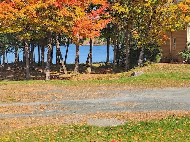 view of yard with a water view