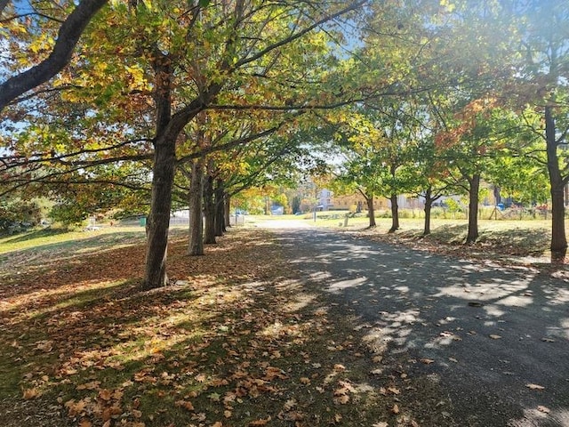 view of road