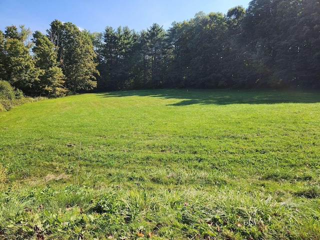 0 Fern Lake Rd, Leicester VT, 05733 land for sale