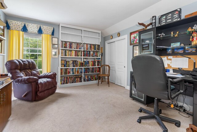 view of carpeted home office