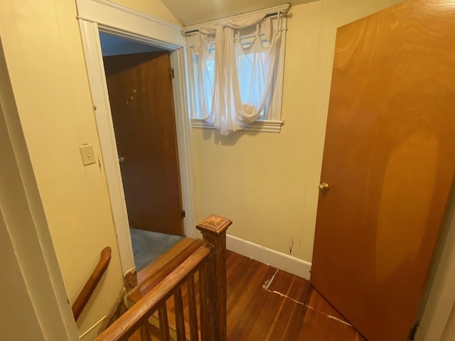 corridor featuring dark hardwood / wood-style flooring