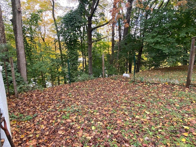 view of local wilderness