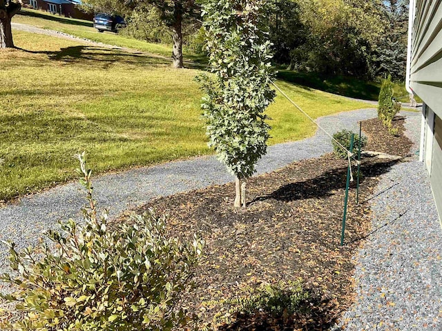 view of home's community with a yard