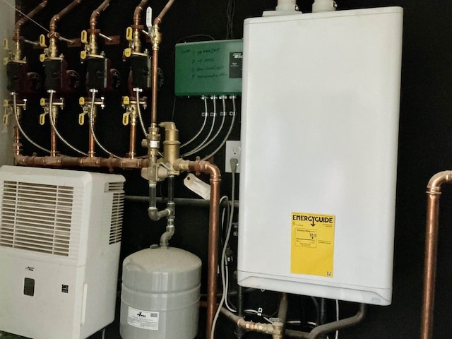 utility room with water heater