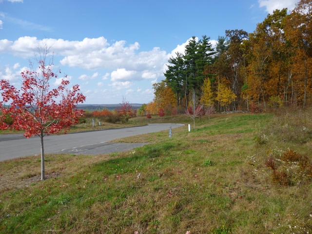 view of road